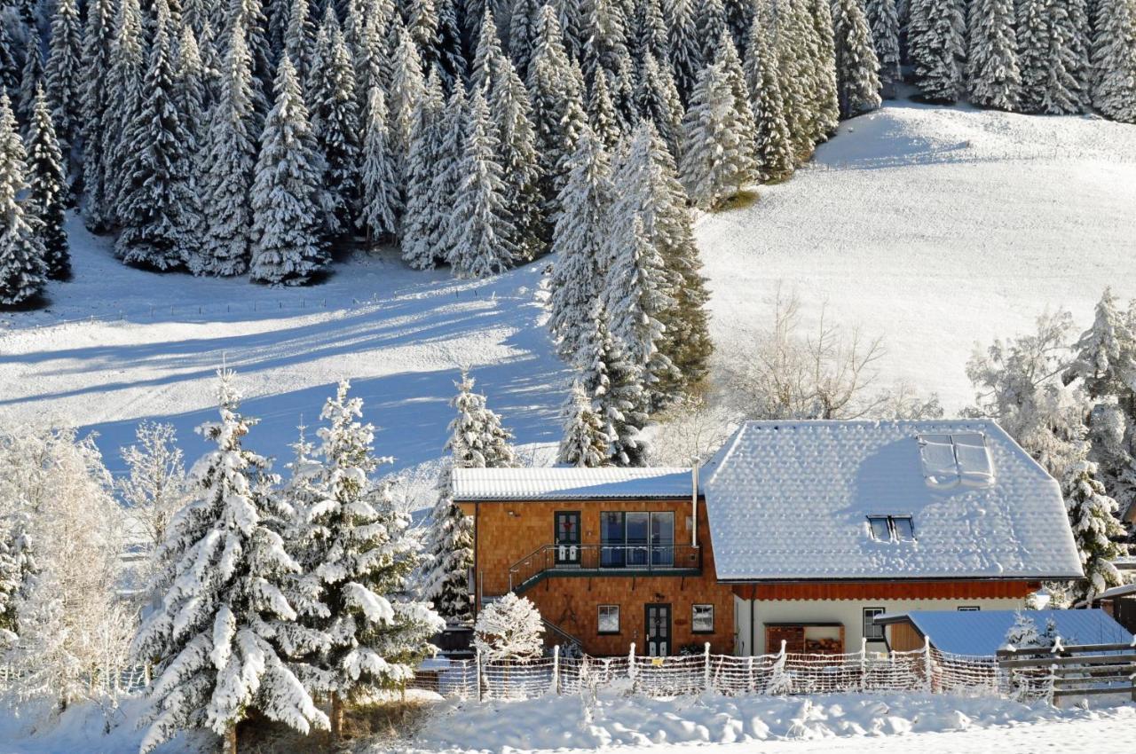 Landhaus Riesneralm Donnersbachwald Luaran gambar